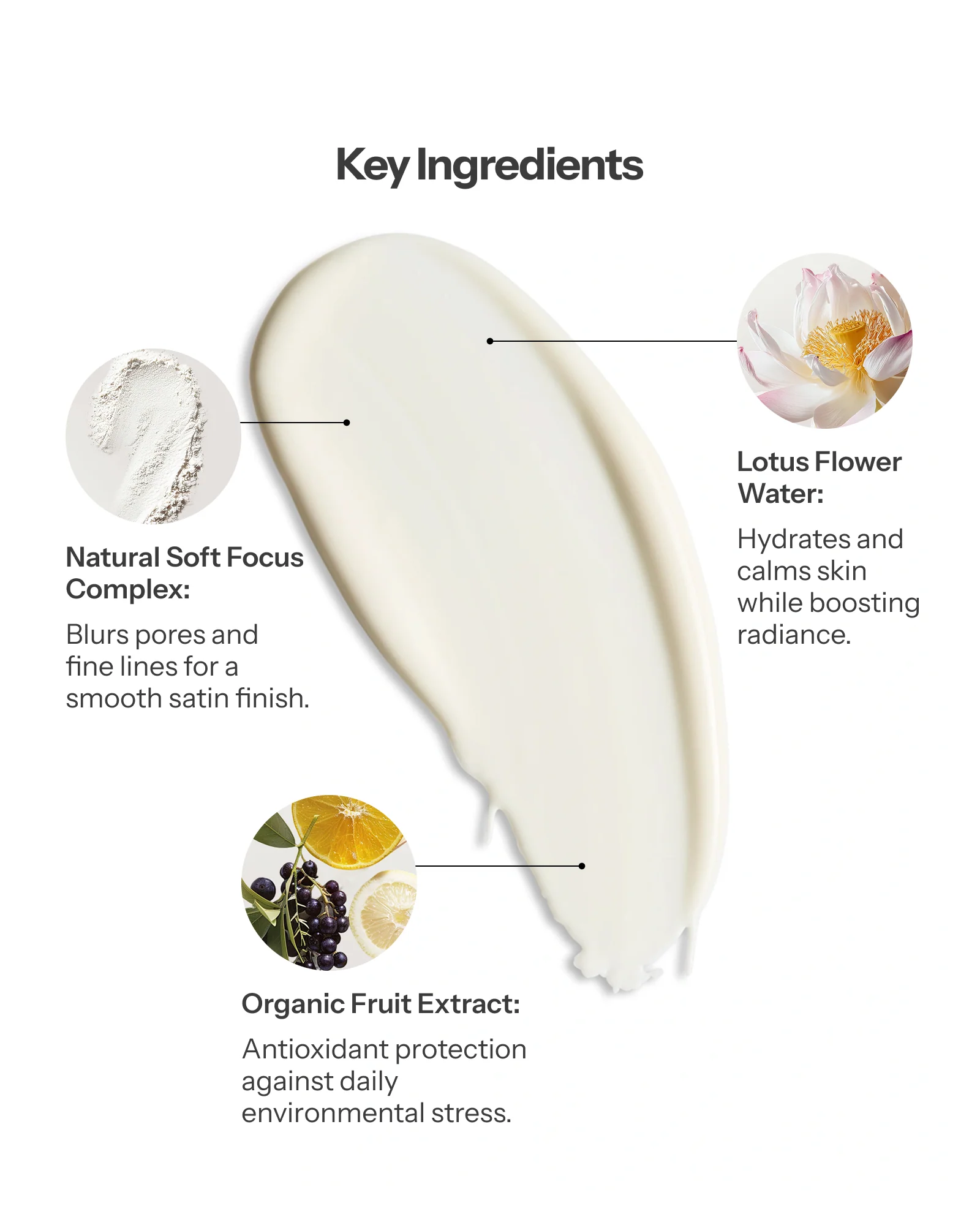 Lotus Primer - Image 3